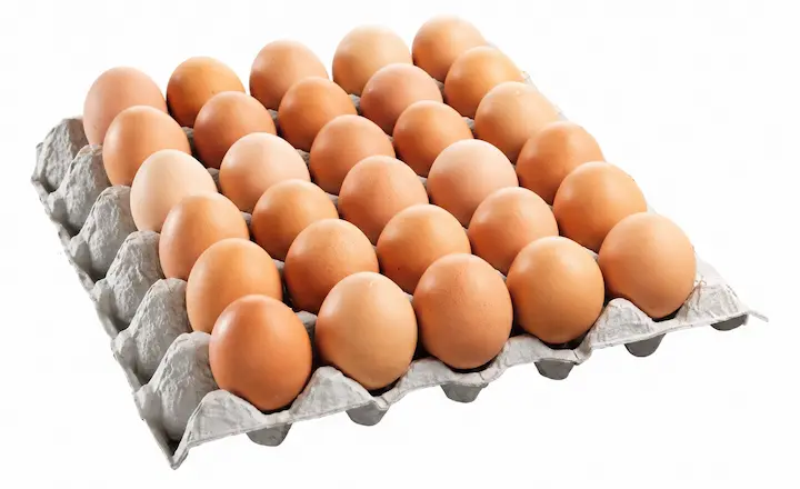 30 egg cartons for wholesale egg storage and transport
