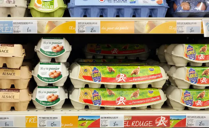 egg cartons for egg distributor storage and delivery