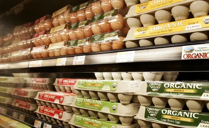 egg cartons for supermarket retail egg display