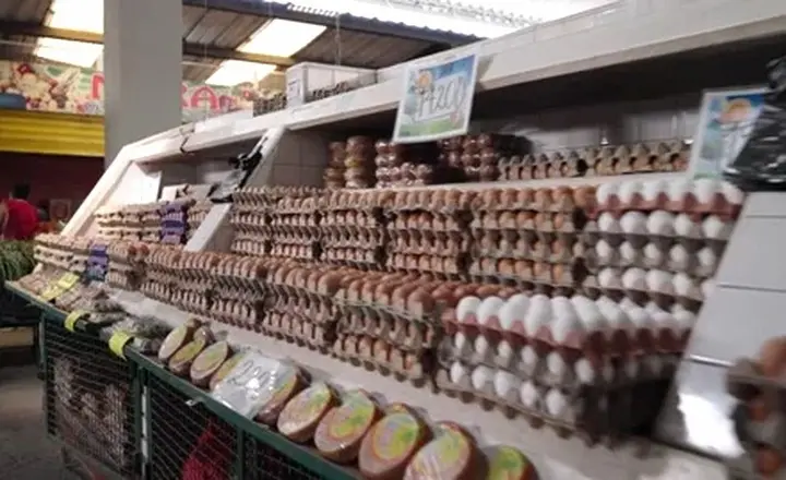 egg trays for retail market egg packing and display