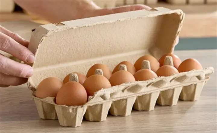paper and plastic egg cartons for egg packing