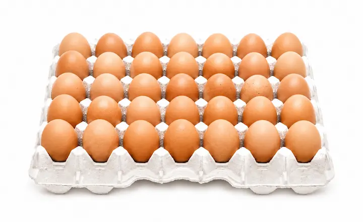 paper egg tray for egg packing and farm distribution