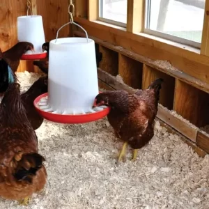 1.5KG Chicken Feeder- φ21.5×16.5 cm