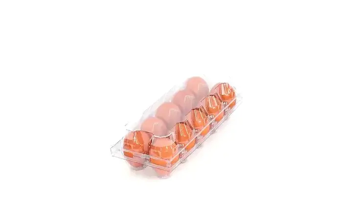 ET-PET-12_12-Cell_PET_Plastic_Egg_Tray_720x440