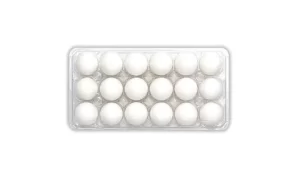 18-Cell PET Plastic Egg Tray