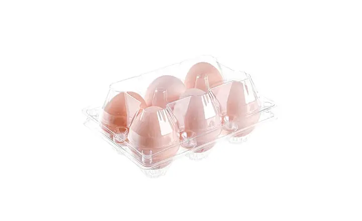 ET-PET-6_6-Cell_PET_Plastic_Egg_Tray_720x440