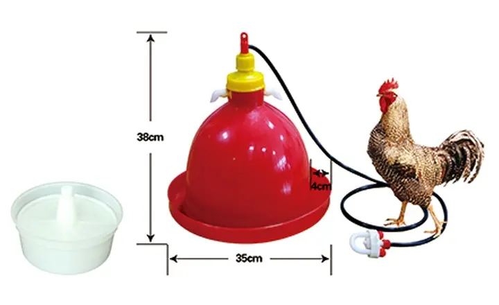 LL-DP01 Automatic Bell Poultry Drinker - Ø35 × 38 cm