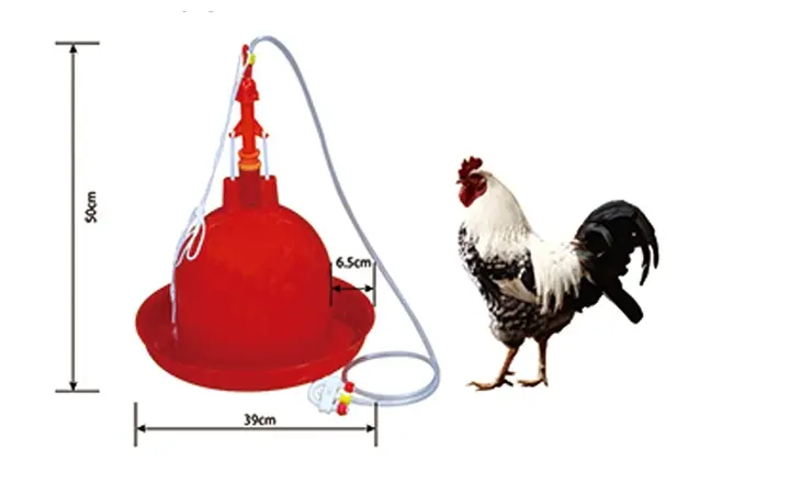 LL-DT19 Automatic Poultry Bell Drinker