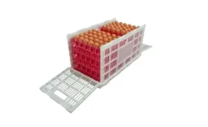 360-Egg Foldable Plastic Egg Transport Crate