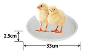 33cm Transparent Chick Feeder Tray