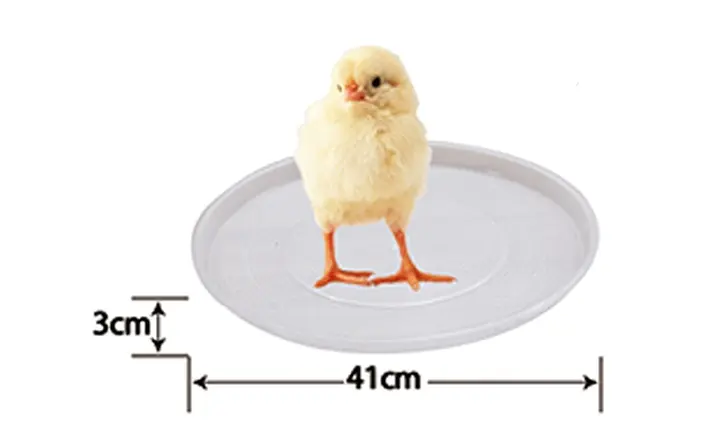 LL-FP02-1 41cm Transparent Chick Feeder Tray