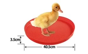 40.5cm Round Chick Feeder Tray
