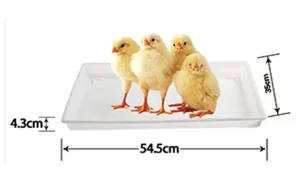 54.5cm Rectangular Chick Feeder Tray
