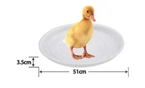 51cm Transparent Poultry Feeder Tray
