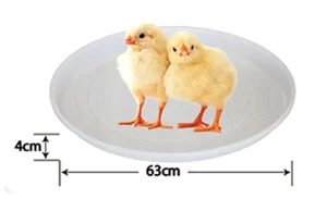 63cm Transparent Poultry Feeder Tray