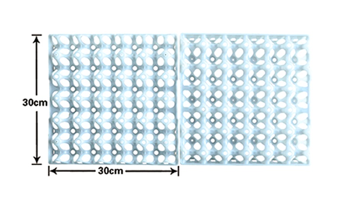 LL-G90_Large_30-Egg_Plastic_Egg_Tray_720x440