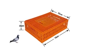 Chicken Transport Crate 98 × 58 × 27 cm