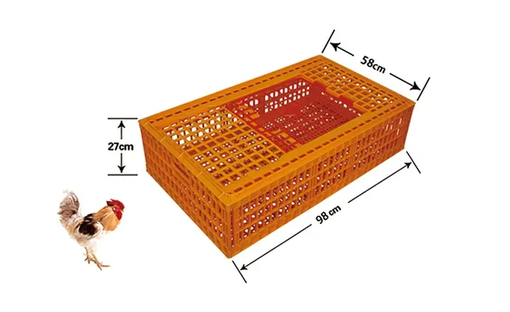 SC01-L_Covered Plastic Broiler Transport Crate 98 × 58 × 27 cm