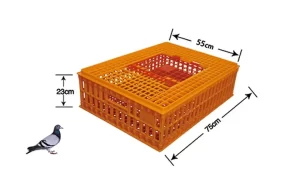 Lightweight Plastic Chicken Transport Crate 75 × 55 × 23 cm