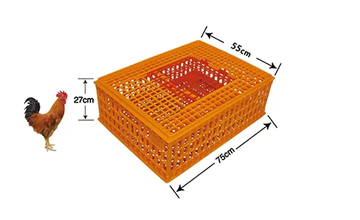 SC03-L_Ventilated Live Poultry Transport Crate 75 × 55 × 27 cm