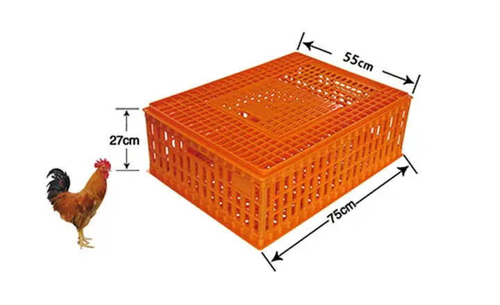 SC03_Chicken Transport Crate 75 × 55 × 27 cm