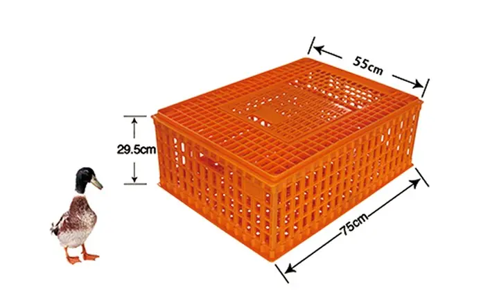 SC04 Duck Transport Crate 75 × 55 × 29.5 cm