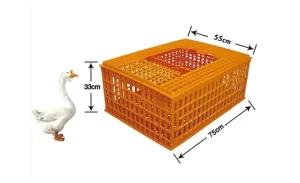 High Edge Plastic Goose Transport Crate 75 × 55 × 33 cm