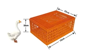 High-Side Chicken Transport Crate 75 × 55 × 33 cm